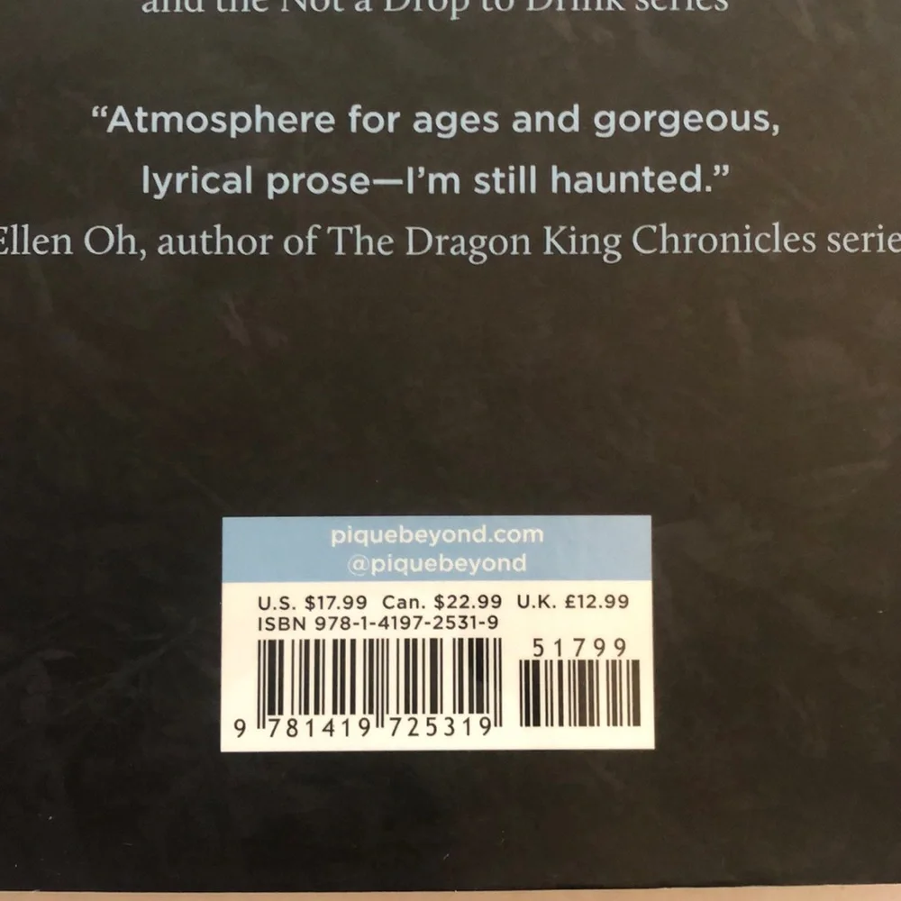 Along The Indigo by Elsie Chapman Hardcover Book